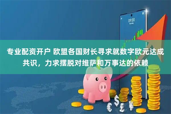 专业配资开户 欧盟各国财长寻求就数字欧元达成共识，力求摆脱对维萨和万事达的依赖
